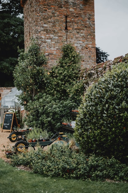 Transform Your Yard with Landscaping