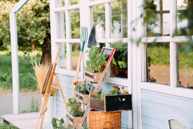 Essential Gardening Tips for Beginners
